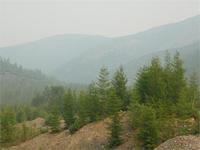 4531.jpg