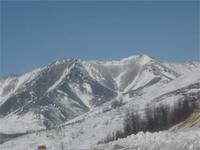 5010.jpg