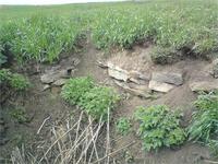 подпол был выложен камнем