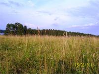 лето 2011 г. 400 км от москвы