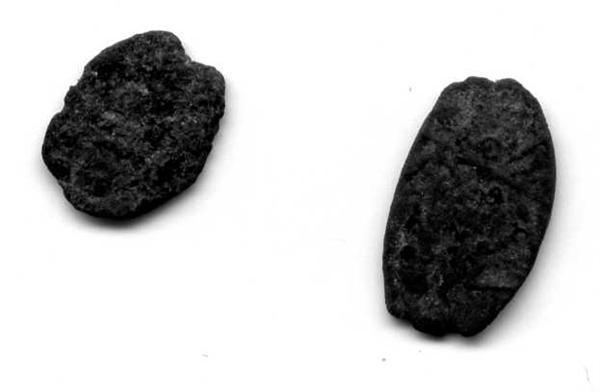 Чешуйки ,убитые