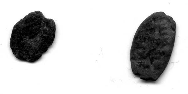 Чешуйки ,убитые