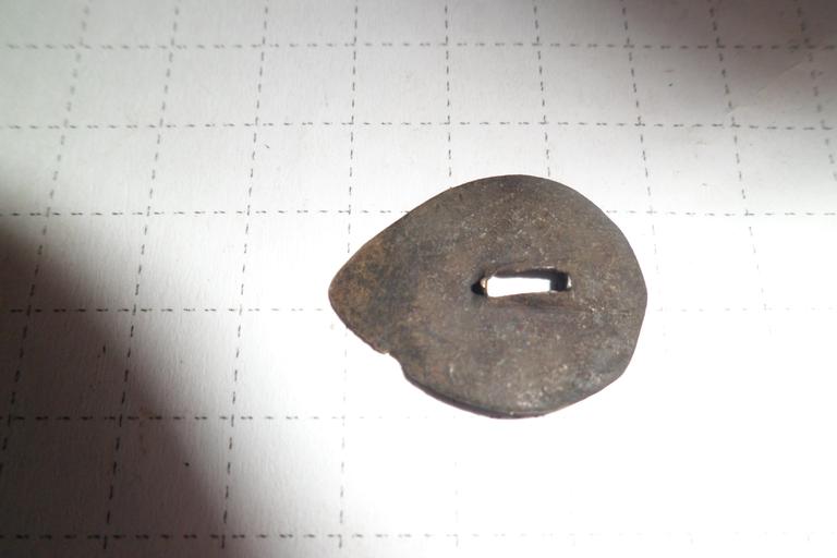 помогите определить - что это ? может чешуя от доспехов ?