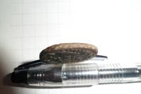 денга 1748 год - гурт