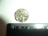 Вроде рязанская денга ?