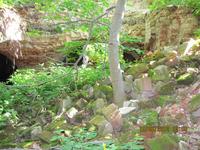 getImage (12)