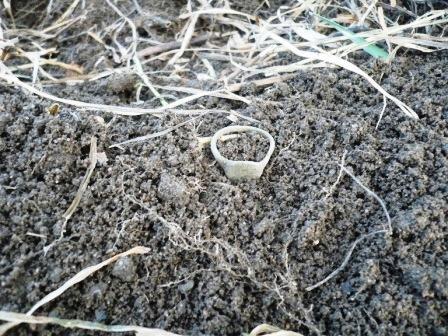 открытие сезона 17 .04.11