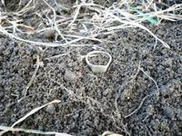 открытие сезона 17 .04.11