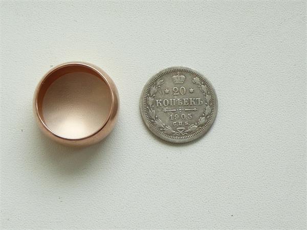 Рыжик 9г. Просто повезло. Найден в Шарлотах сент.2011