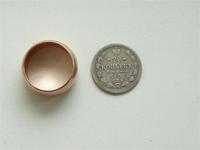 Рыжик 9г. Просто повезло. Найден в Шарлотах сент.2011