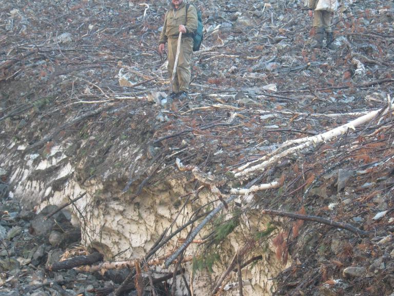 Лед с весны, под наносом лавины