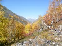 Вид на вершину Каралона