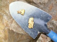 Самородки на 30 и 17 гр