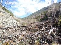 шли на водопад, а попали на сход от весенней лавины
