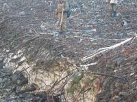 Лед с весны, под наносом лавины