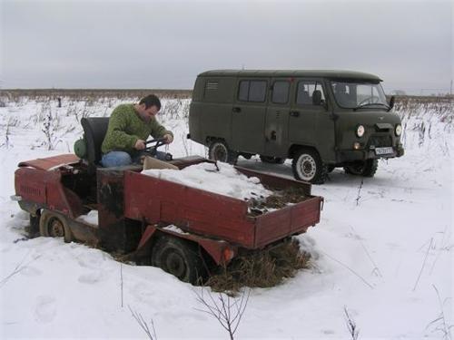 3551.jpg