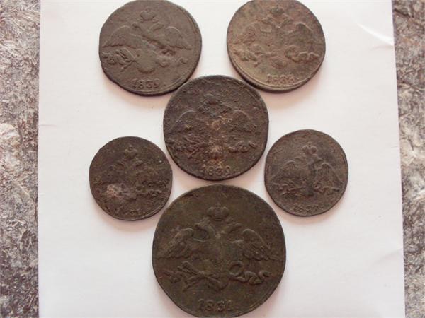 2529.jpg