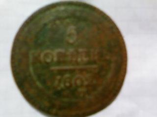 тоже в огороде