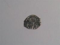 серебренная чешуйка