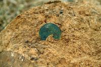 Одна из первх монет в сезоне