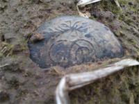 Верховой пятачок