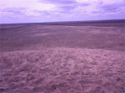 Это я с кургана фоткаю, справа обрыв калауса, курган метров 13 над уровнем земли высокий курганчик!