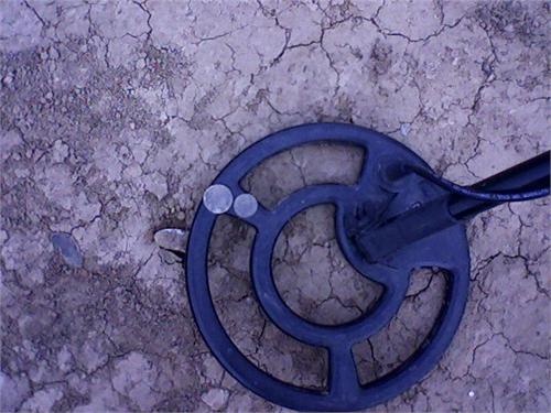 Это результат того самого пляжного поиска. 2 коп 31года и 3 коп 84года не густо!08.03.2011год