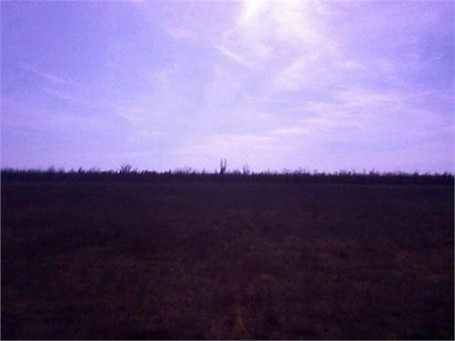 Степь вечером.