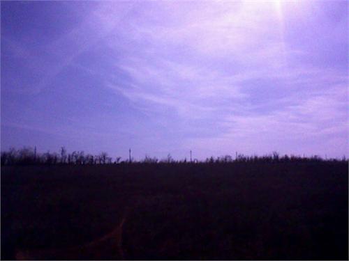 Л,Э,П. Без проводов 60 км столбов.