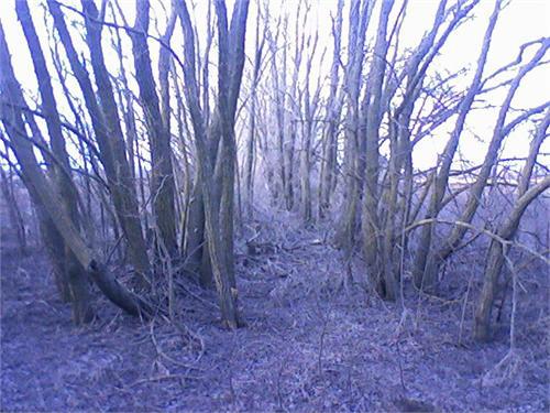 В этом походе я и нашел монету.