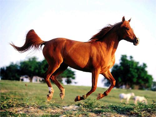 КРАСОТА!!!!!!!!!!!!!!!!!!!!!!!!!!!!!!!!!!!!!!!!!!!!!!!!!!!!!!!!!!!!!!!!!!!!!