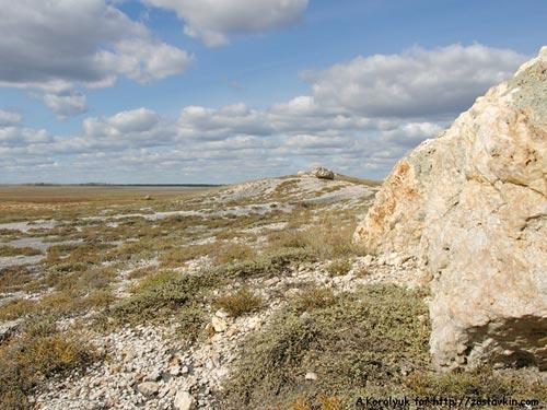Откуда средь бескрайних степей волуны извесняка и насыпи пластин уложенные кругами. Эта памятники древних культур.
