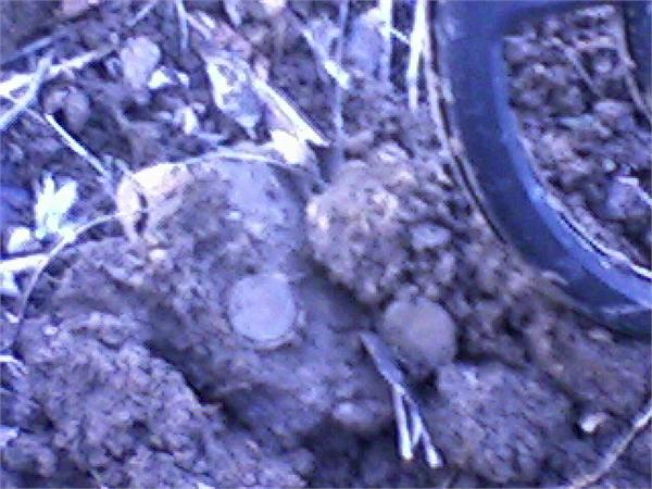 14.03.2011г час назад.