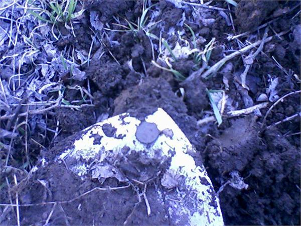 Та же монетка 