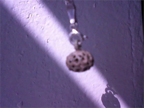 Пуговилитчка.)