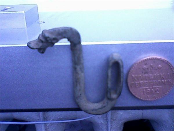 Какойто гусь!