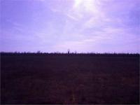 Степь вечером.