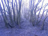 В этом походе я и нашел монету.