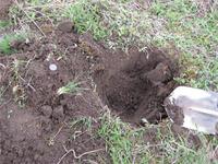 Копнули не зря!!!