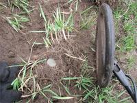 Бугорок зазвонил