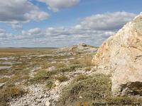 Откуда средь бескрайних степей волуны извесняка и насыпи пластин уложенные кругами. Эта памятники древних культур.