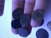 Нашел 5штук. еще не очищены от земли.