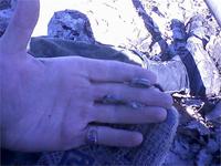 Кзолотому еще три серебряных.