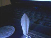 А в полости еще дерево осталось.