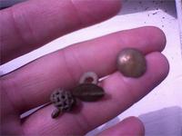 Это лишь одна сотая того что я нашел. Домою все выложу.