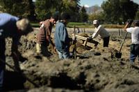 Как признается 