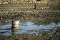 Охотники за сокровищами копают, сеют и убирают грунт в поисках сокровищ. (Joe Amon, The Denver Post)