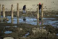 Искатели сокровищ копают у старого пирса в поисках старинных ценностей. (Joe Amon, The Denver Post)