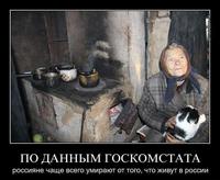 живут в россии