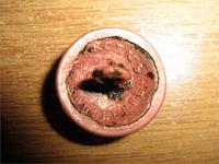 C 6 по 7 августа 2011  медная пушкарка КОПЕЙКИН 3